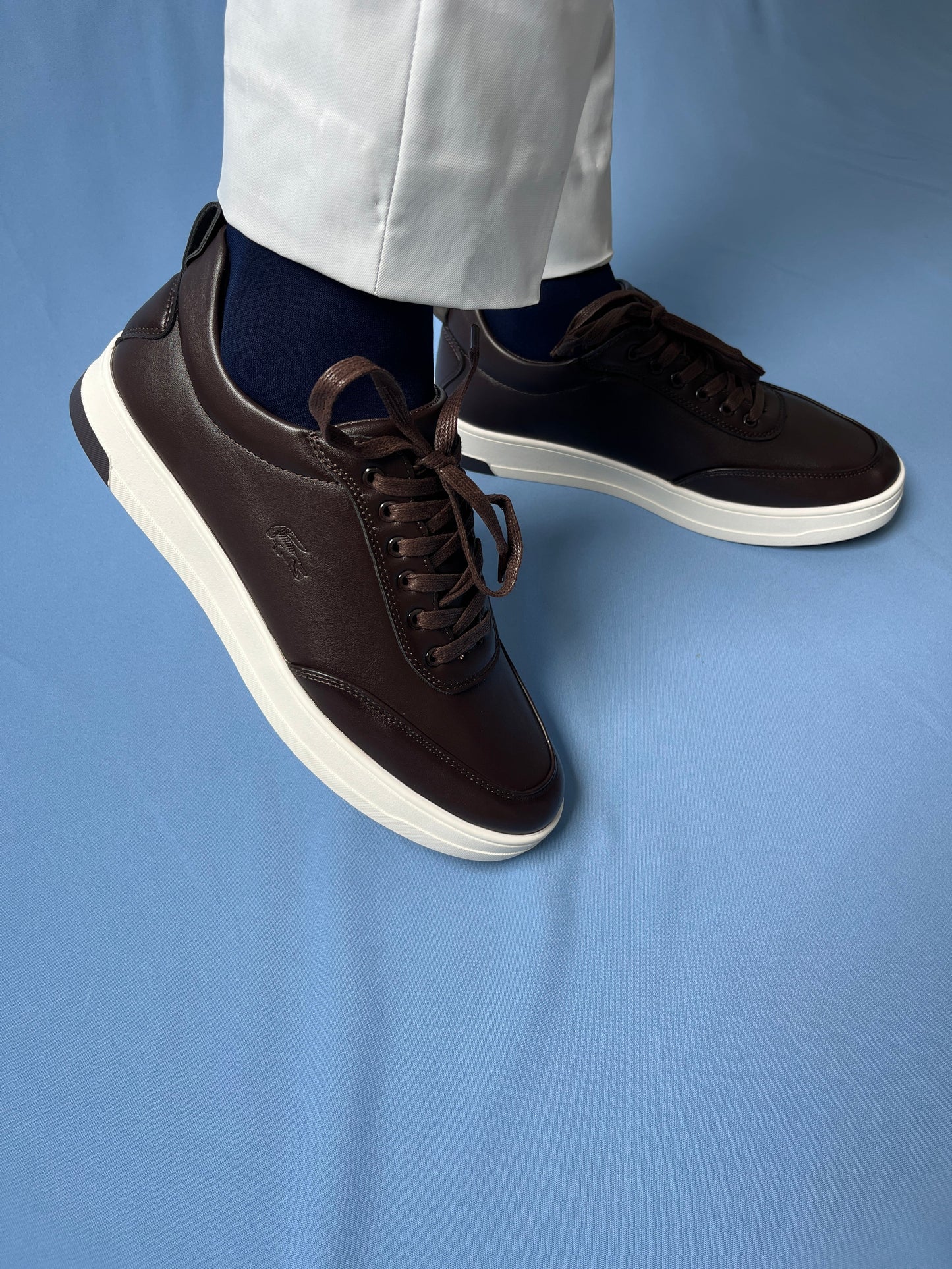 Classics Lacoste Dark Brown