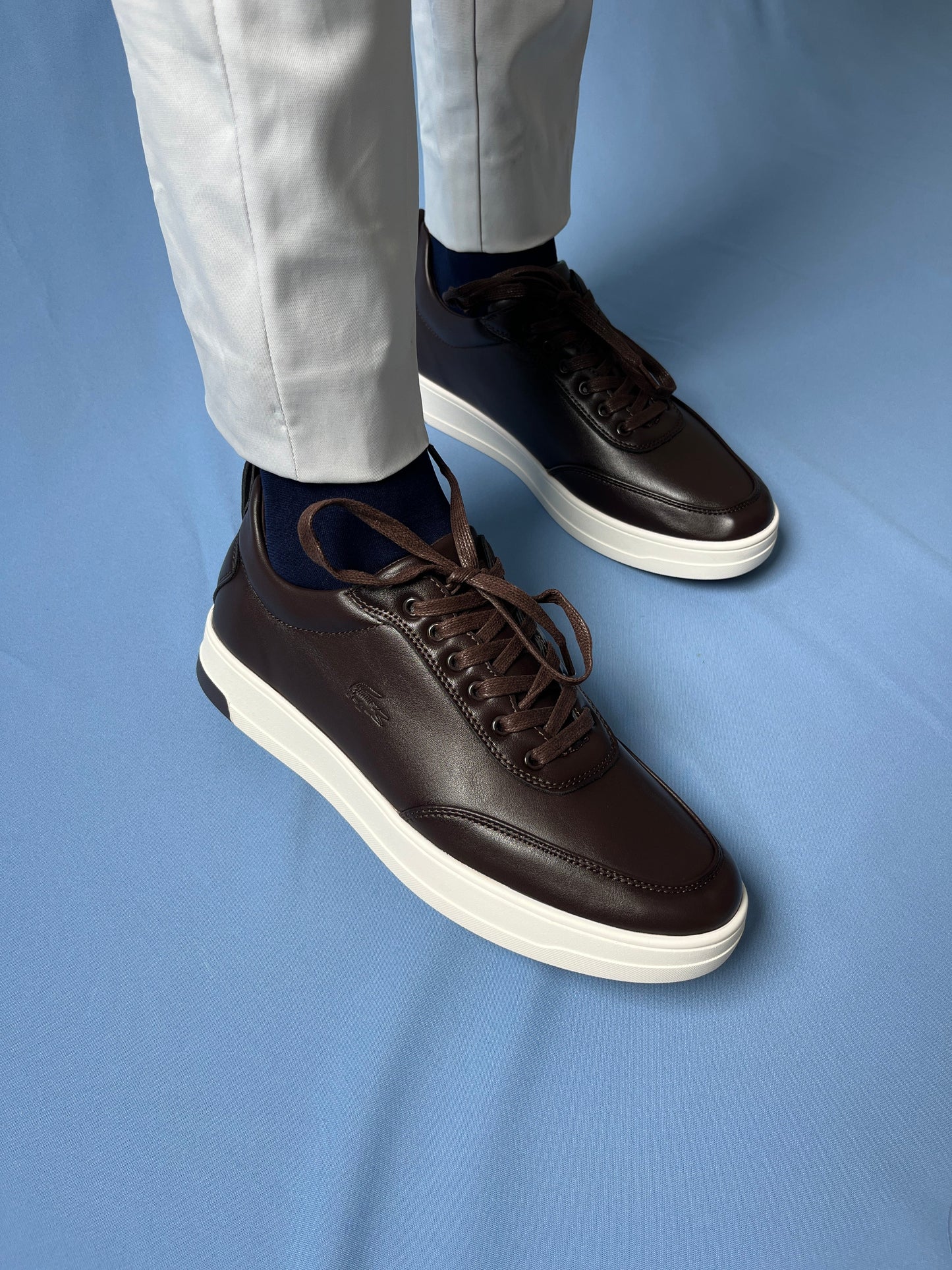 Classics Lacoste Dark Brown